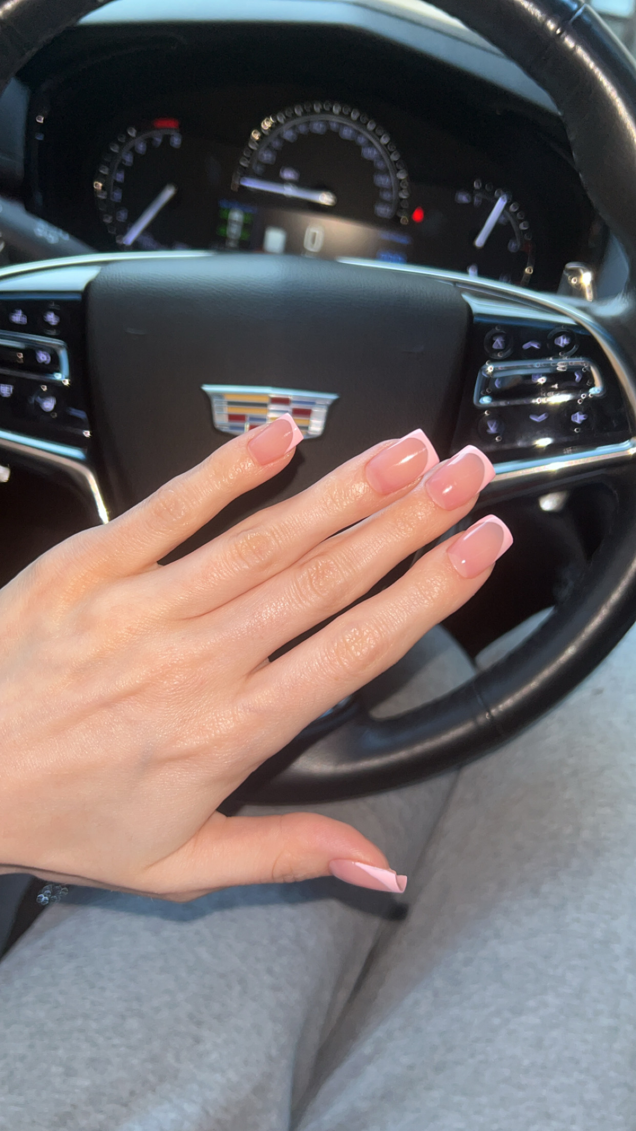 Shvydka Alona Nail LLC nail photo 2