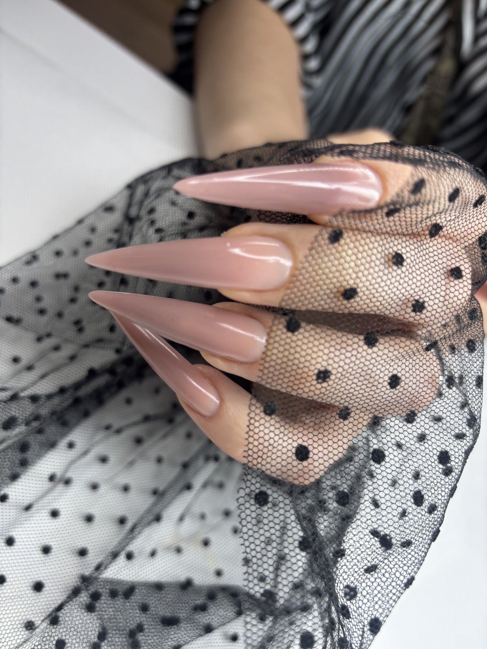 Shvydka Alona Nail LLC nail photo 3